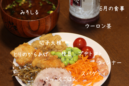 食事、記録,写真,岡田斗司夫,レコーディングダイエット